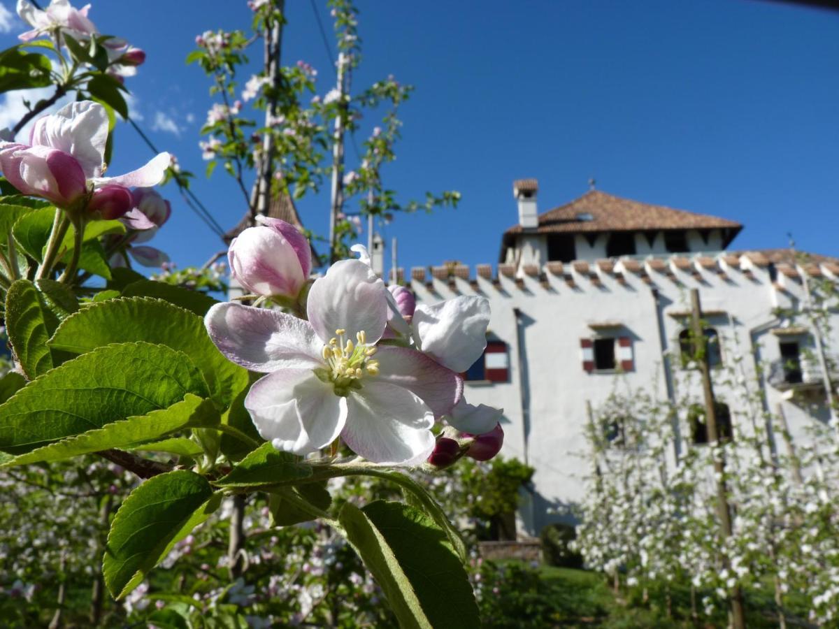 Apartments Schloss Paschbach อัปเปียโน ซุลลา สตราดา เดล วีโน ภายนอก รูปภาพ