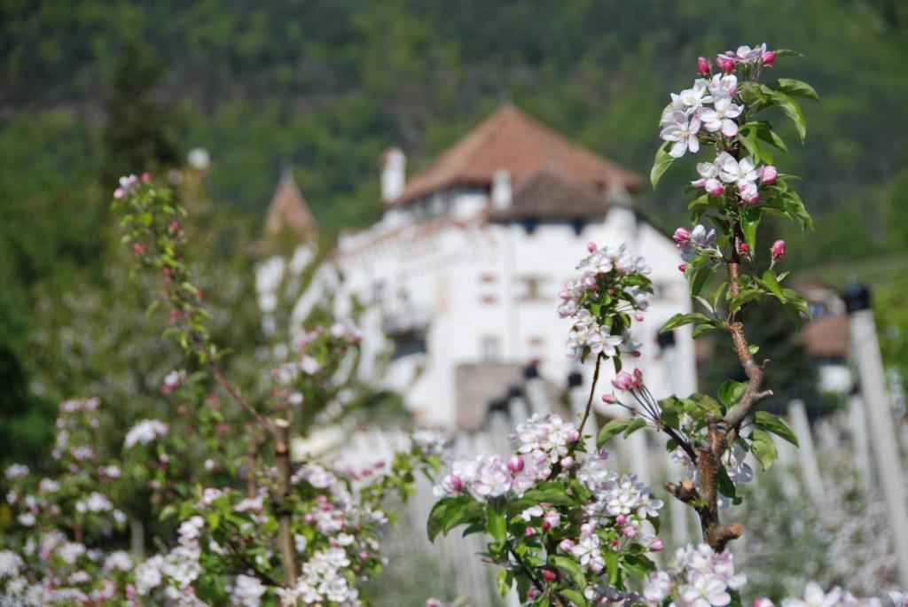 Apartments Schloss Paschbach อัปเปียโน ซุลลา สตราดา เดล วีโน ภายนอก รูปภาพ